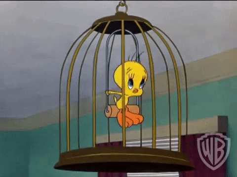 tweedy