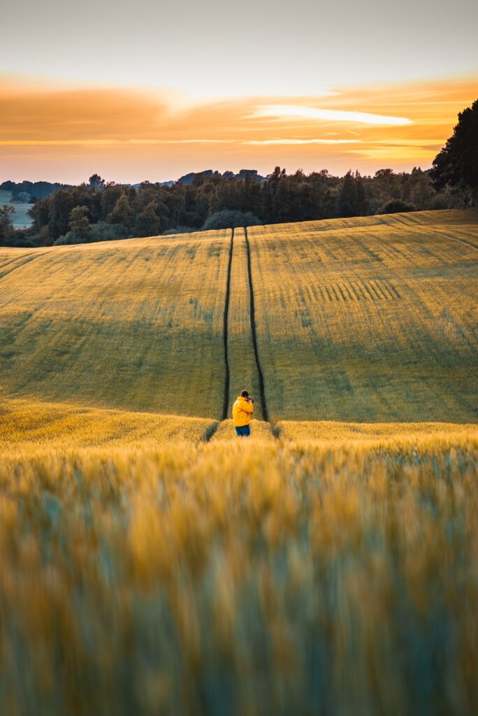 field