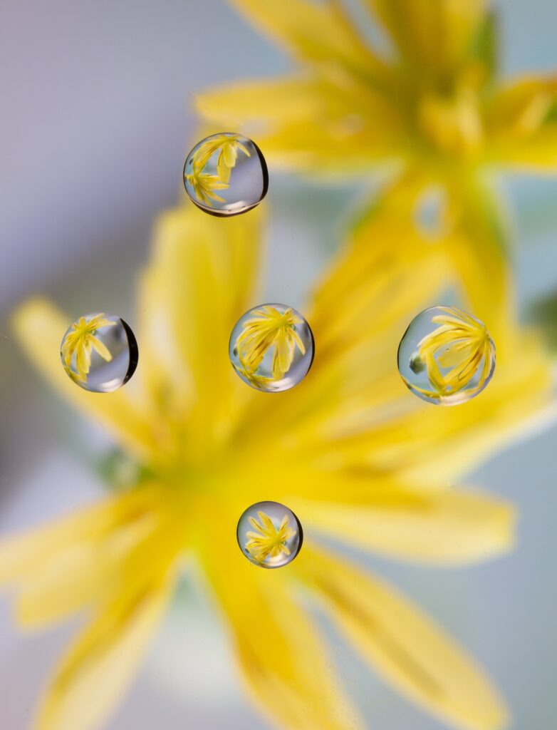 bubbles