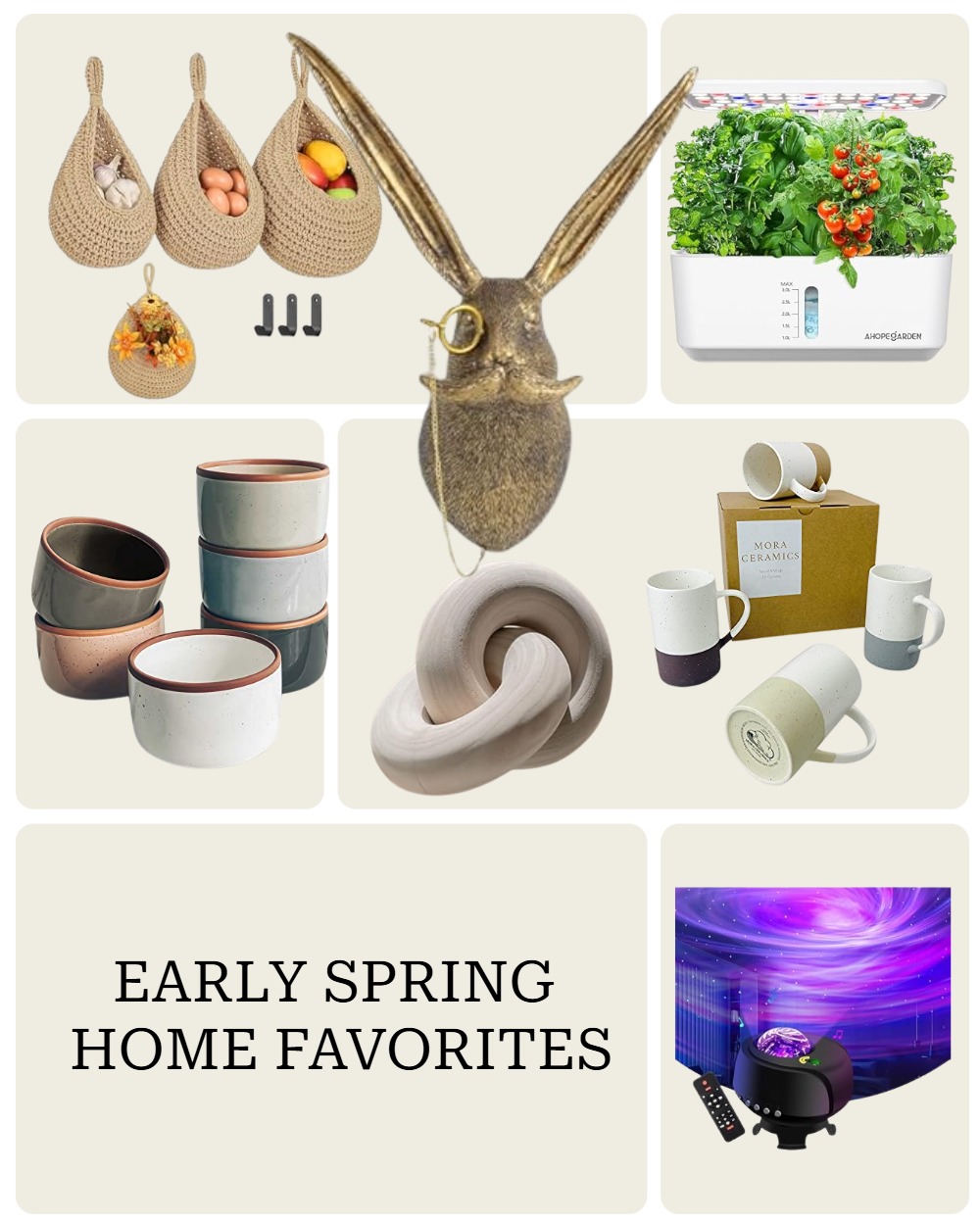 Early Spring Favorites